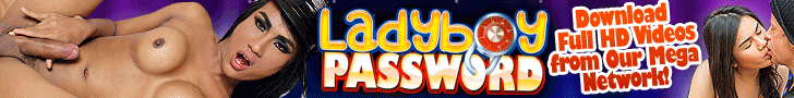 Access the Huge Ladyboy Network!