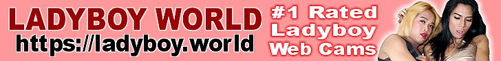 The best Hung Horny Ladyboys LIVE performing for you!